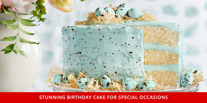 30 Pretty Cake Ideas To Inspire You : Chocolate Birthday Cake