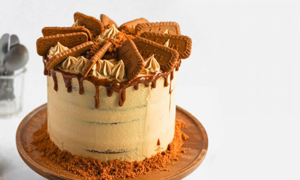 3 Ingredient Biscoff Cake - Pastry Wishes