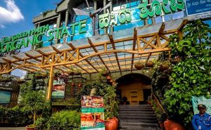 The Green Path Organic Cafe