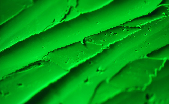 water-droplets-on-green-leaf-