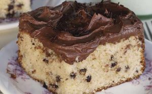 Introduction-to-Chocolate-Chip-Cakee