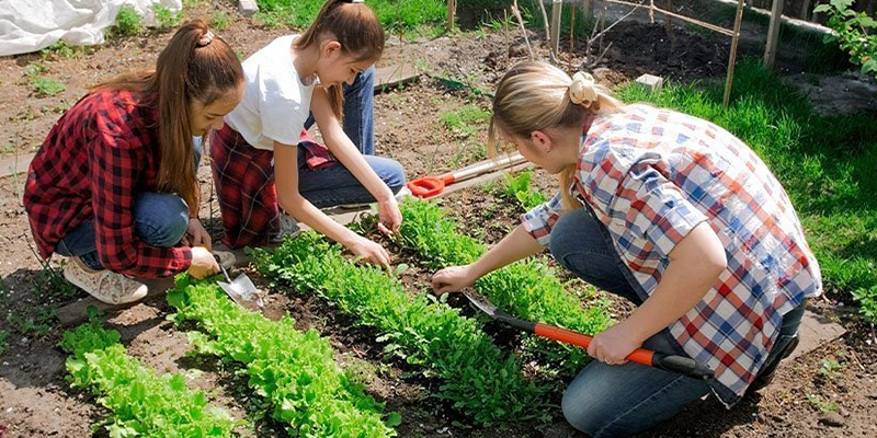 Garden Makeover