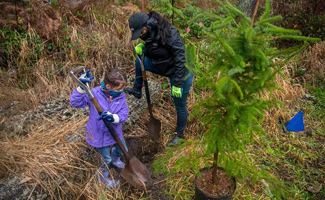 Plant a Tree Together