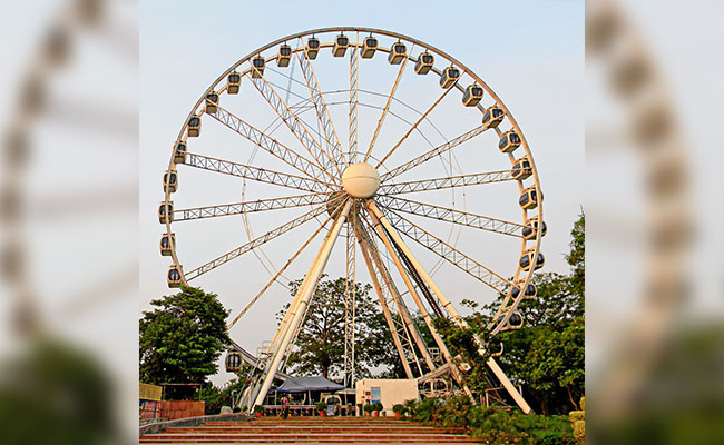 Delhi Eye